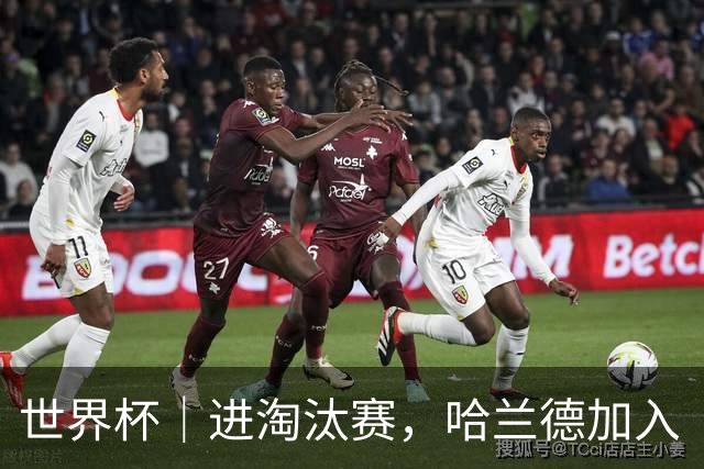 世界杯｜进淘汰赛，哈兰德加入“维京划船”