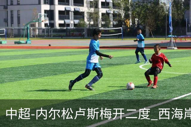 中超-内尔松卢斯梅开二度 西海岸3-1浙江12轮不败