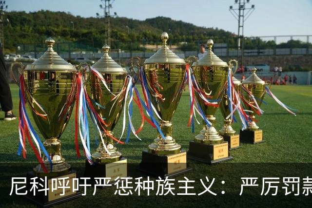 尼科呼吁严惩种族主义：严厉罚款+追究刑责+精准识别
