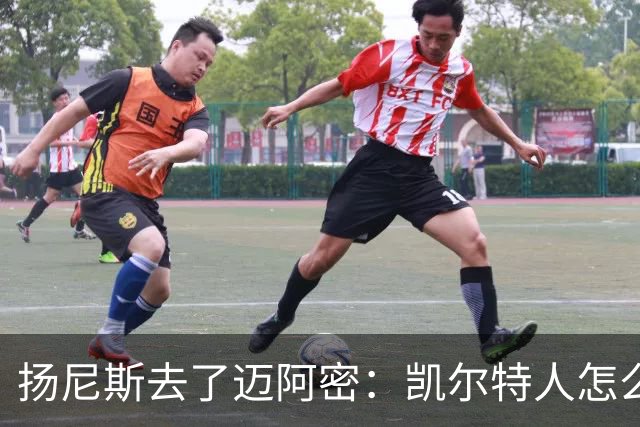 扬尼斯去了迈阿密：凯尔特人怎么办？