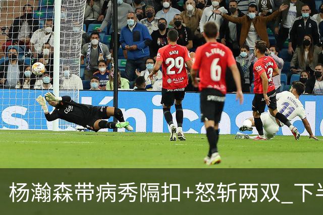 杨瀚森带病秀隔扣+怒斩两双 下半场进攻灵感井喷
