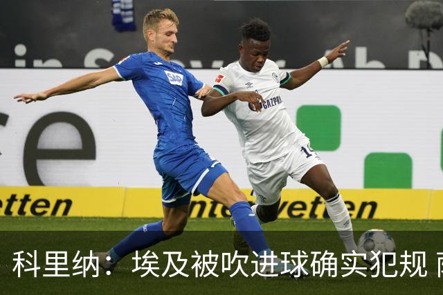 科里纳：埃及被吹进球确实犯规 萨拉赫倒地正常接触