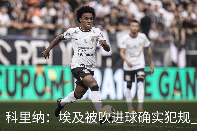科里纳：埃及被吹进球确实犯规 萨拉赫倒地正常接触